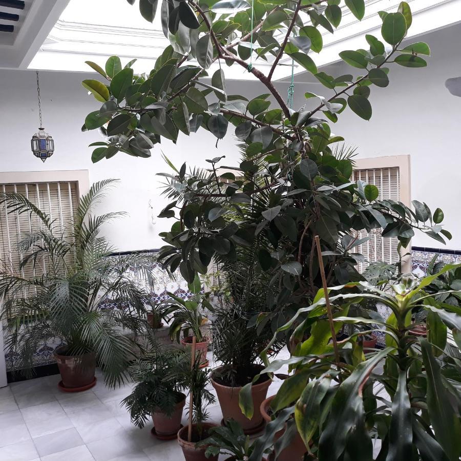 Ferienwohnung Atico Soleado Cádiz Exterior foto