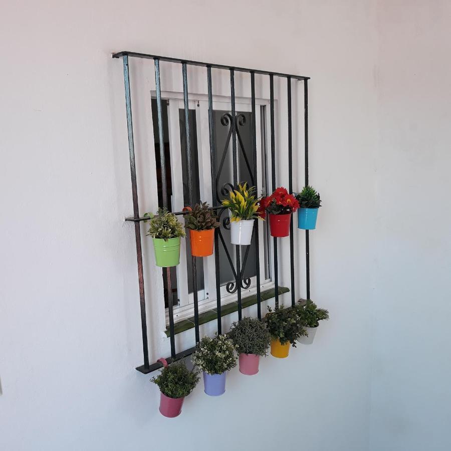 Ferienwohnung Atico Soleado Cádiz Exterior foto